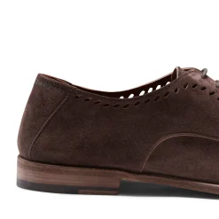 Brown Suede Lace-up Shoe | Fratelli Rossetti